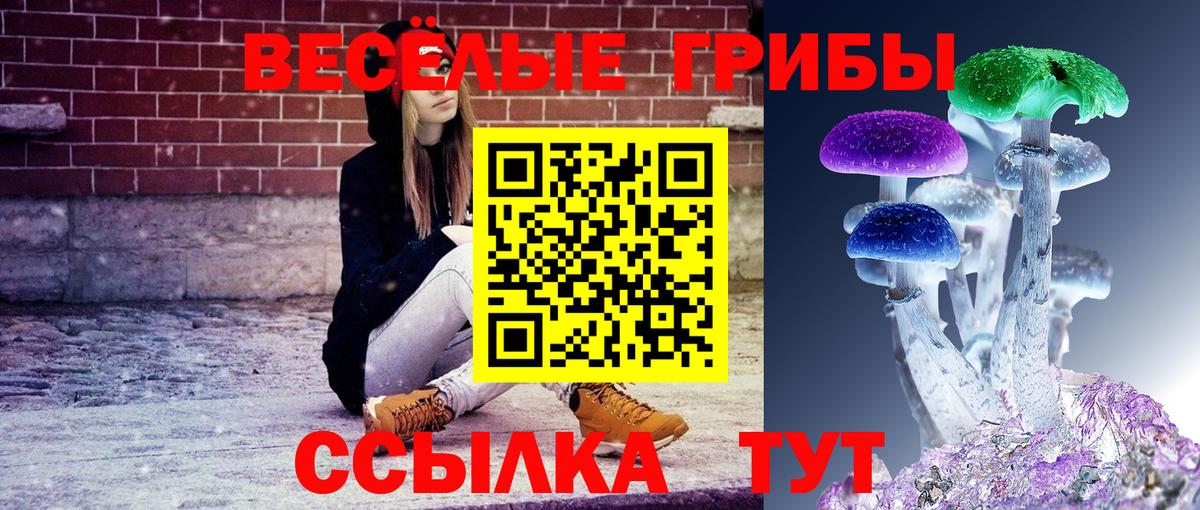 Алушта  Псилоцибиновые грибы мухоморы  Вход с VPN  Псилоцибиновые грибы мухоморы 