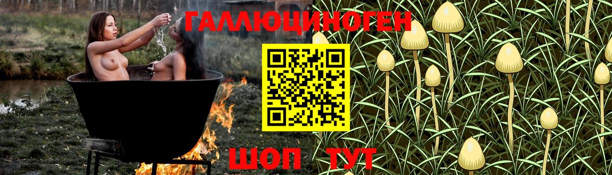 Псилоцибиновые грибы Psilocybine cubensis Алушта